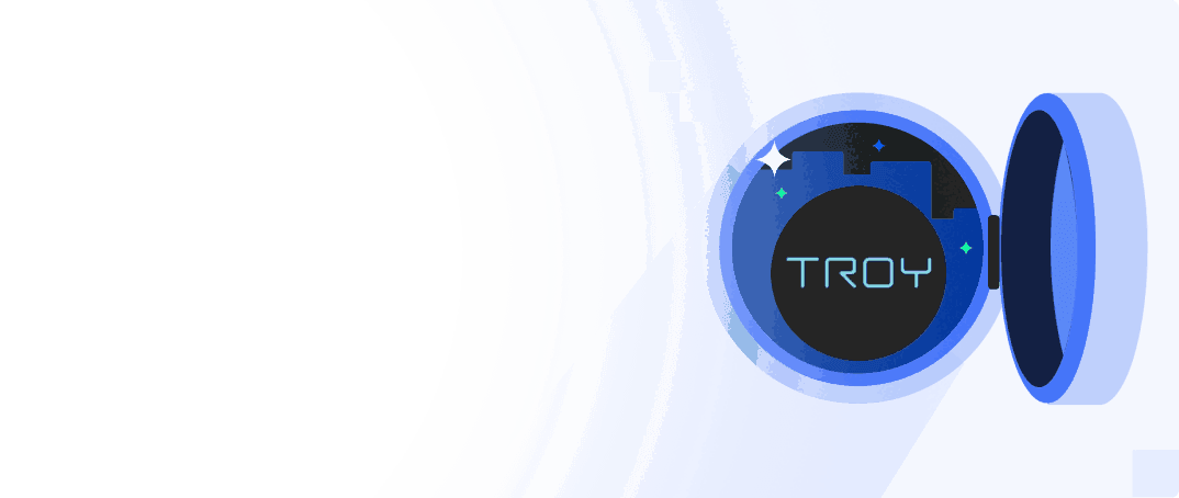 How to Buy Troy (TROY)